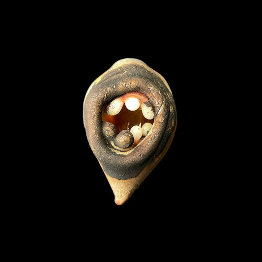 Medium Mouth Pendant (B) by Shoko Mihira