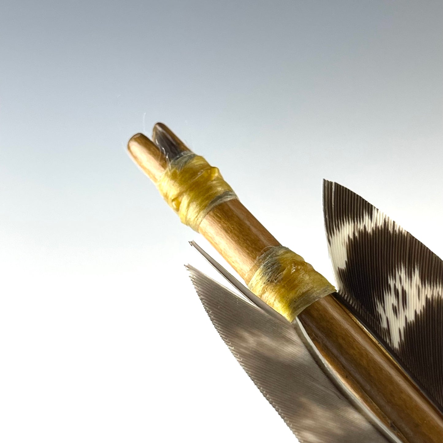 Full Length Arrow by Elks That Run