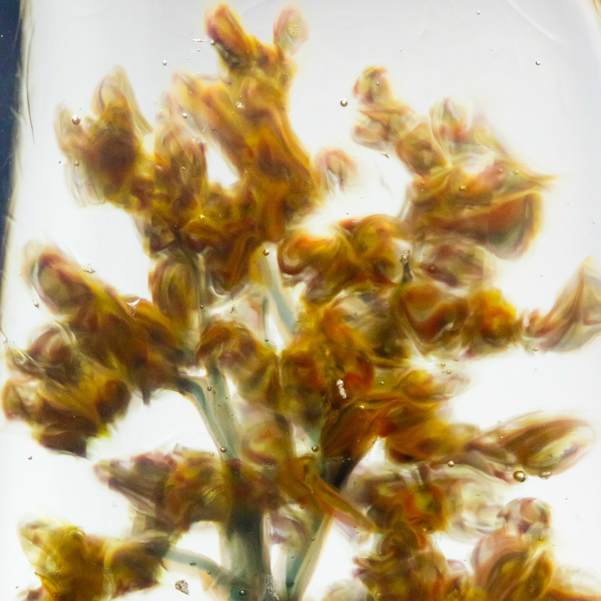 Tall Fall Maple Tree Paper Weight by Woodlander Glass