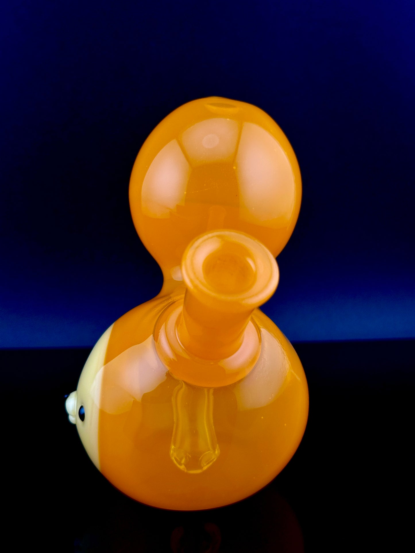 Aquarius chappy head rig A