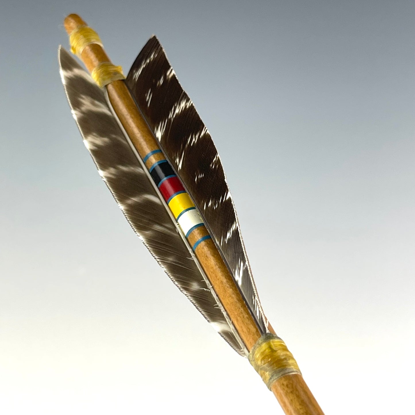Full Length Arrow by Elks That Run