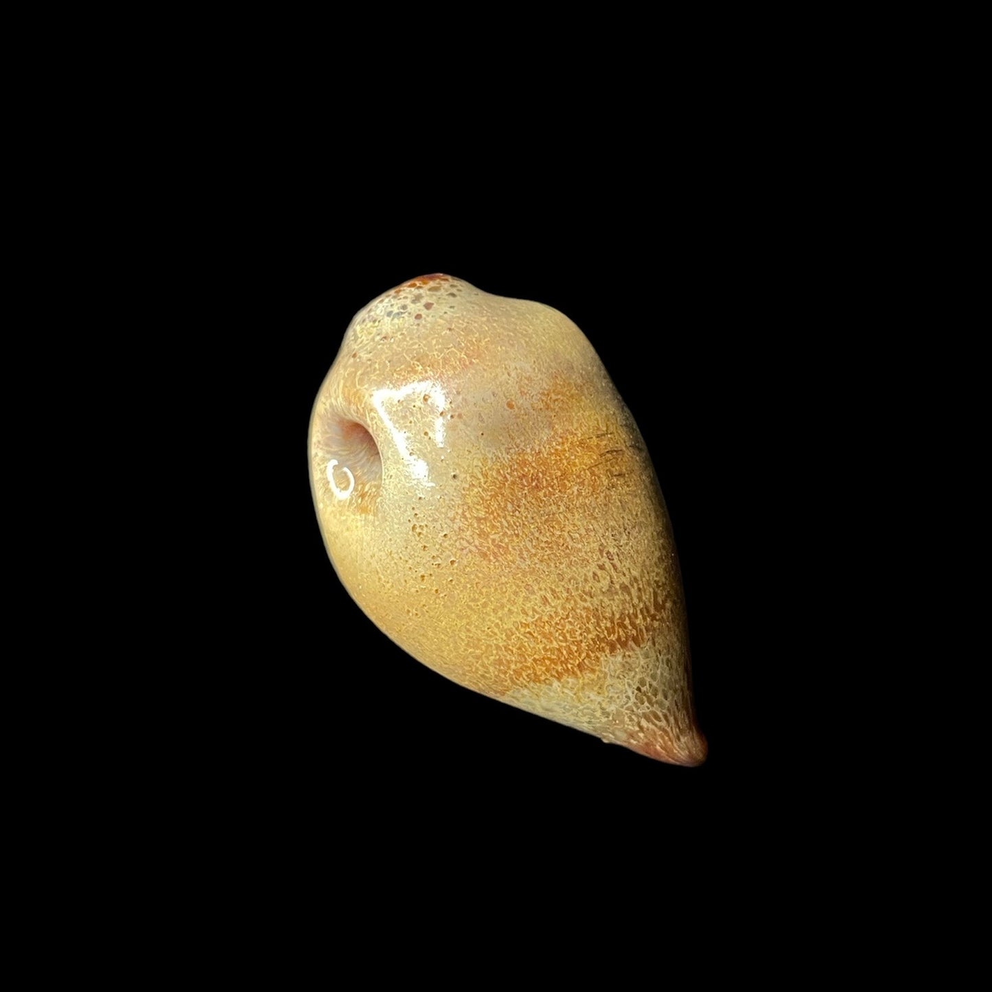 Medium Mouth Pendant (B) by Shoko Mihira
