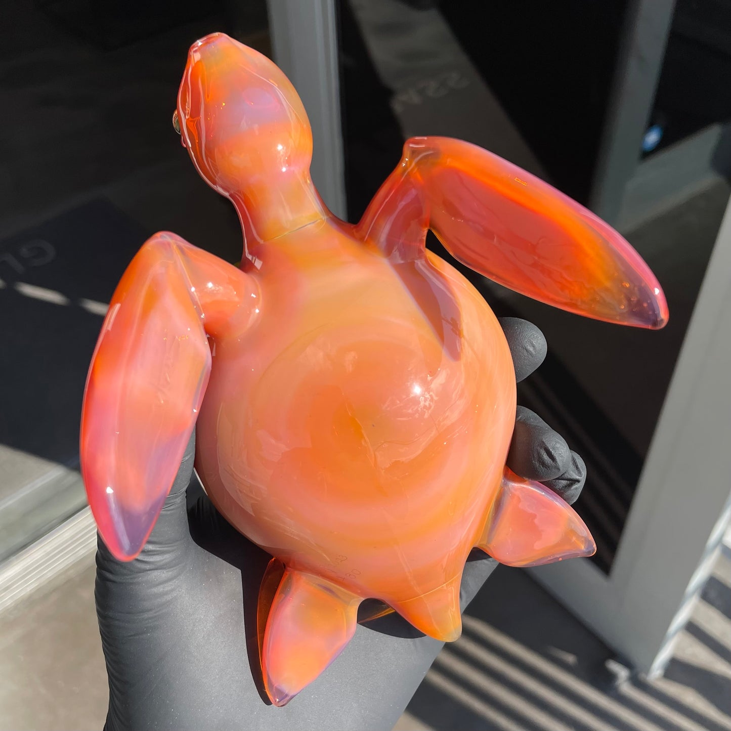 Collab Turtle Rig by Turtle Time x Sarita Glass
