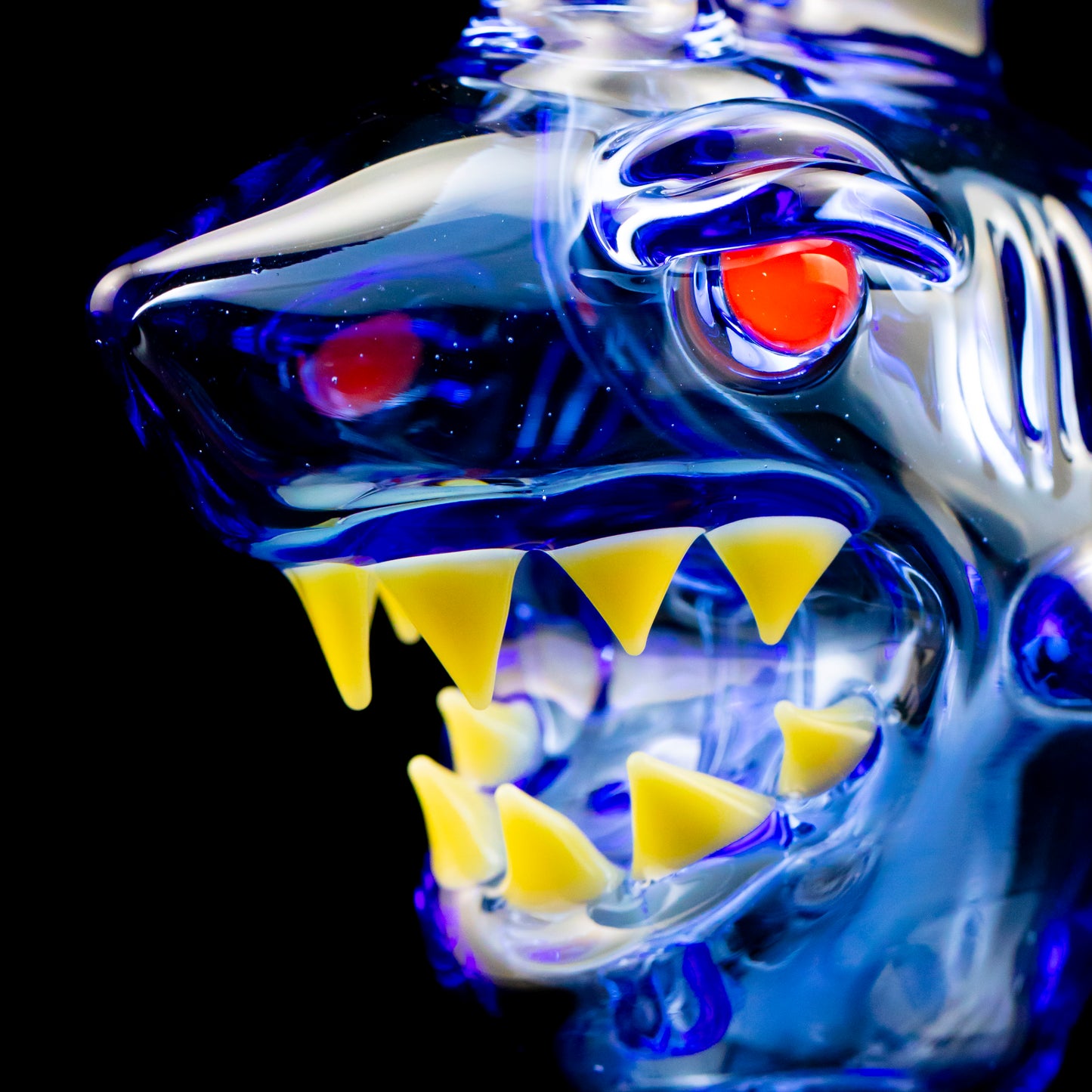 Collab Shark and Skateboard Set by Niko Cray and Rick Ilcken