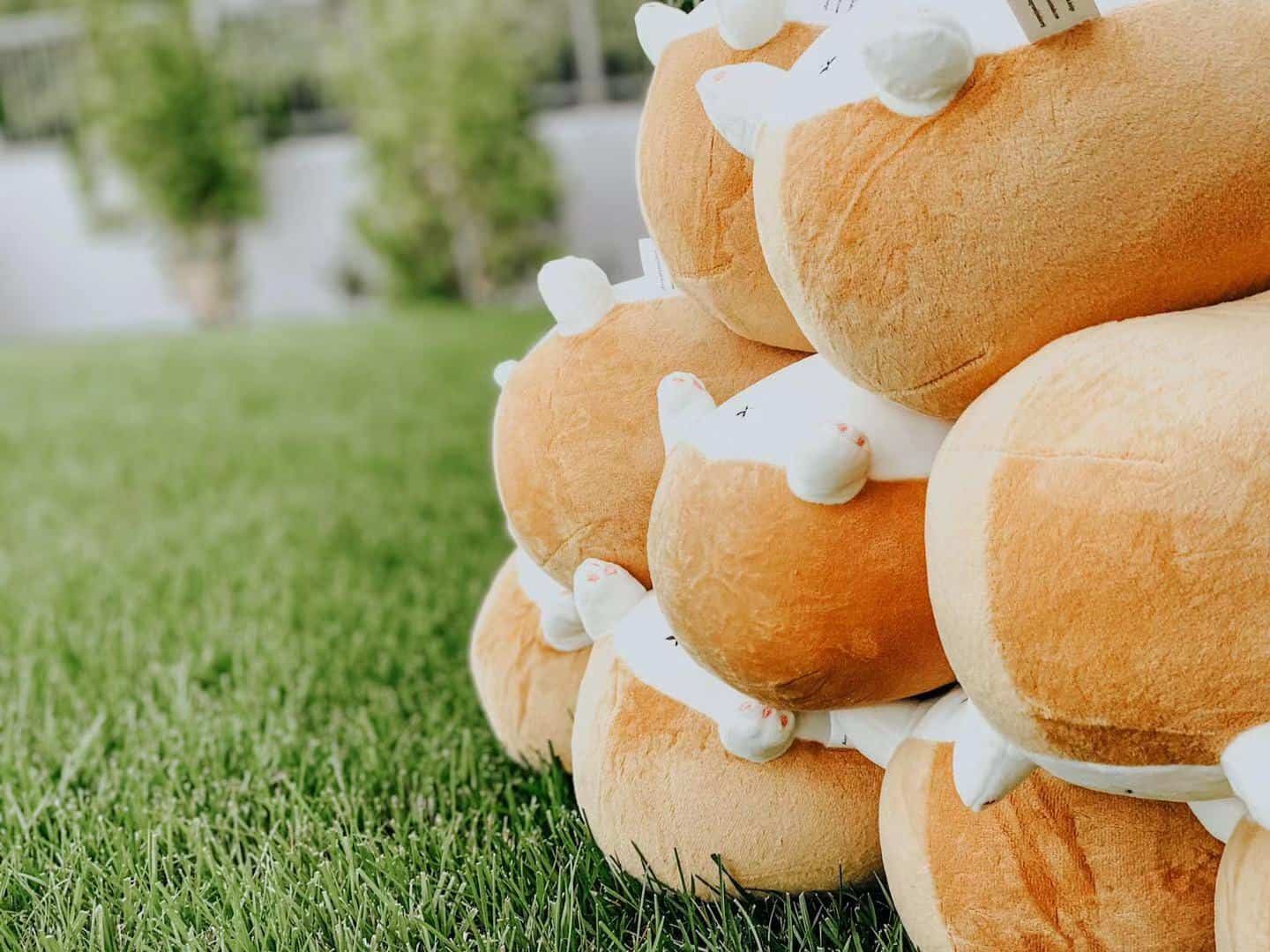 meticulously crafted art piece - Hadid Corgi Plush
