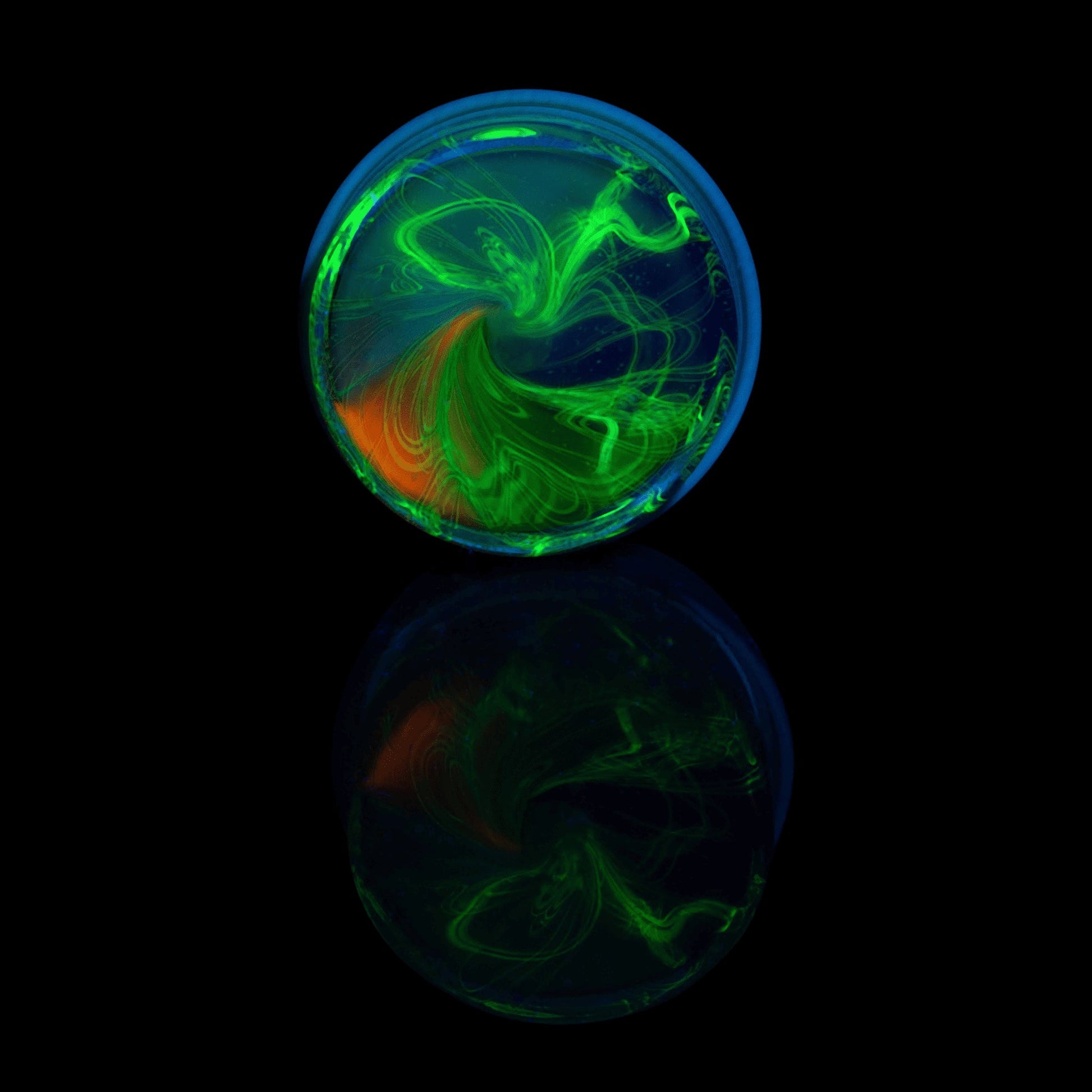 heady art piece - Collab Baller Jar (B) by Baller Jar x Scomo Moanet (Scribble Season 2022)