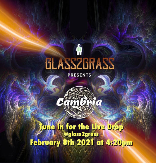 Cambria Glass 2/8/21