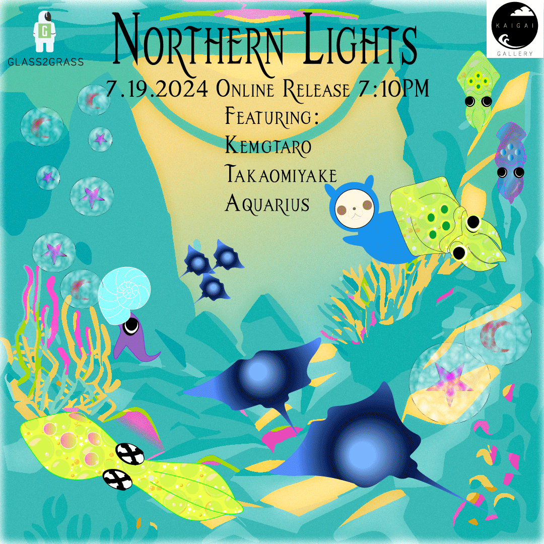 Northern Lights Release 2024