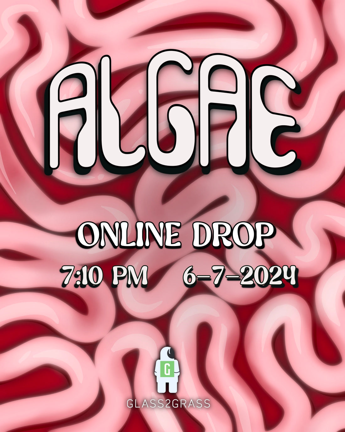 Algae Release 2024