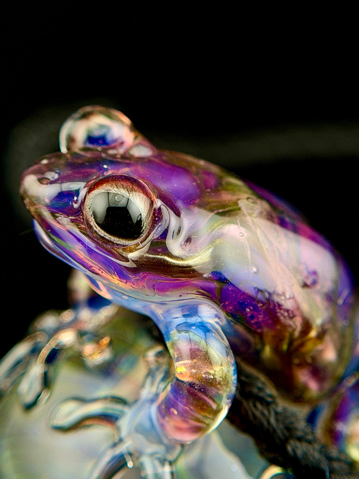 Gyoku Frog