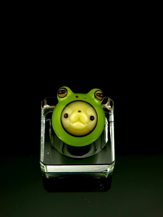 Aquarius chappy frog marble a