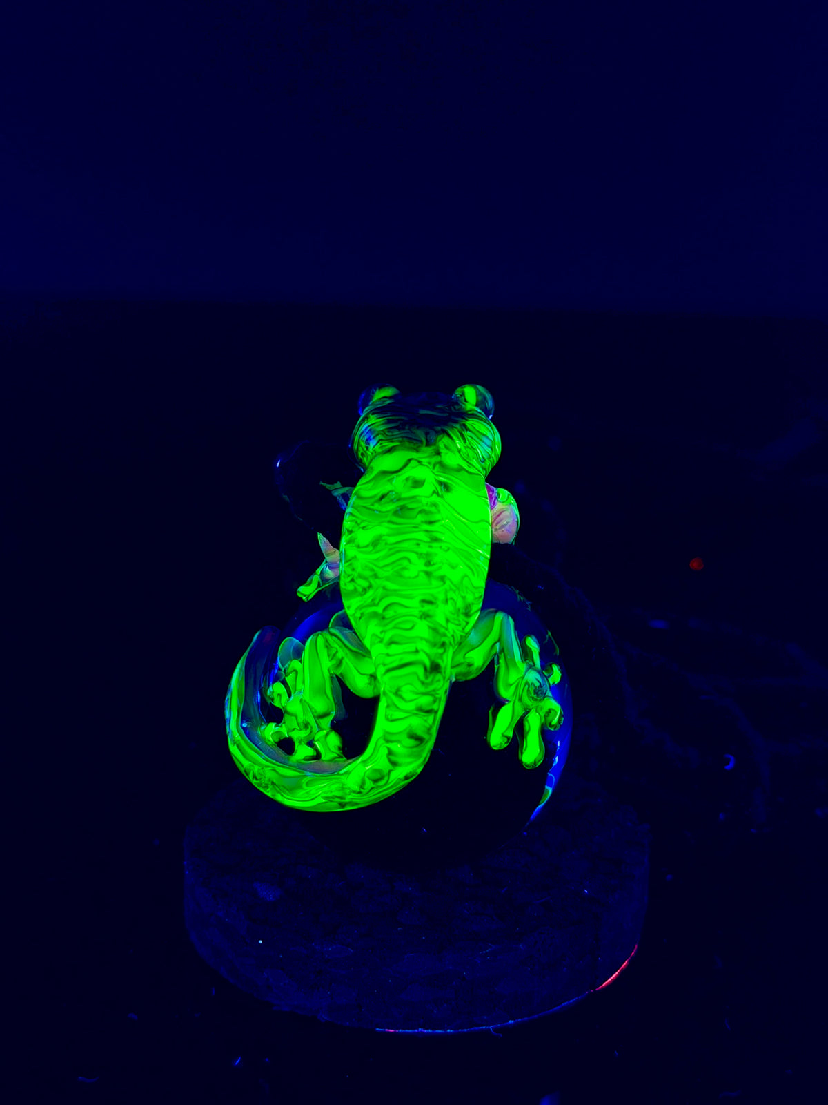 Gyoku Gecko