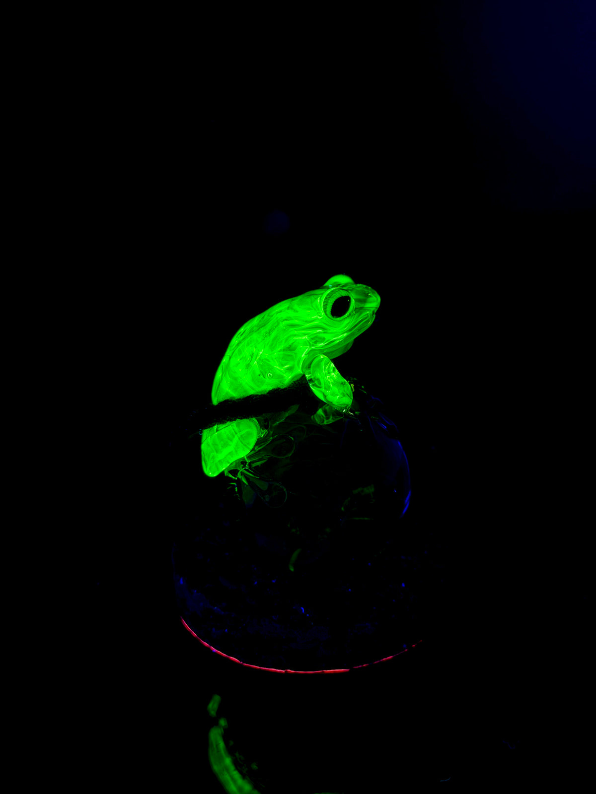 Gyoku Frog