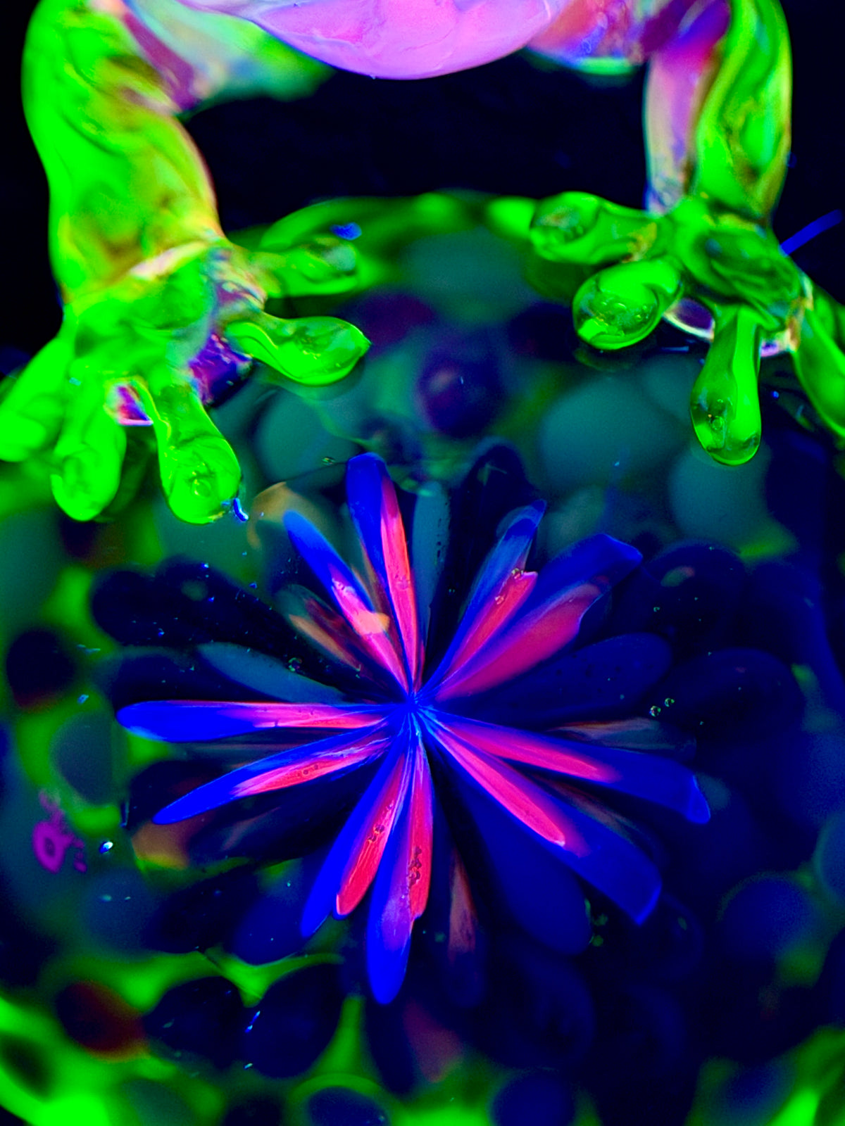 Gyoku Gecko