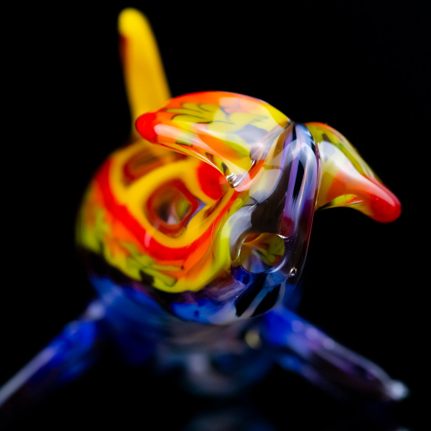 Dolphin Dry Pipe by Crunklestein x Chadd Lacy