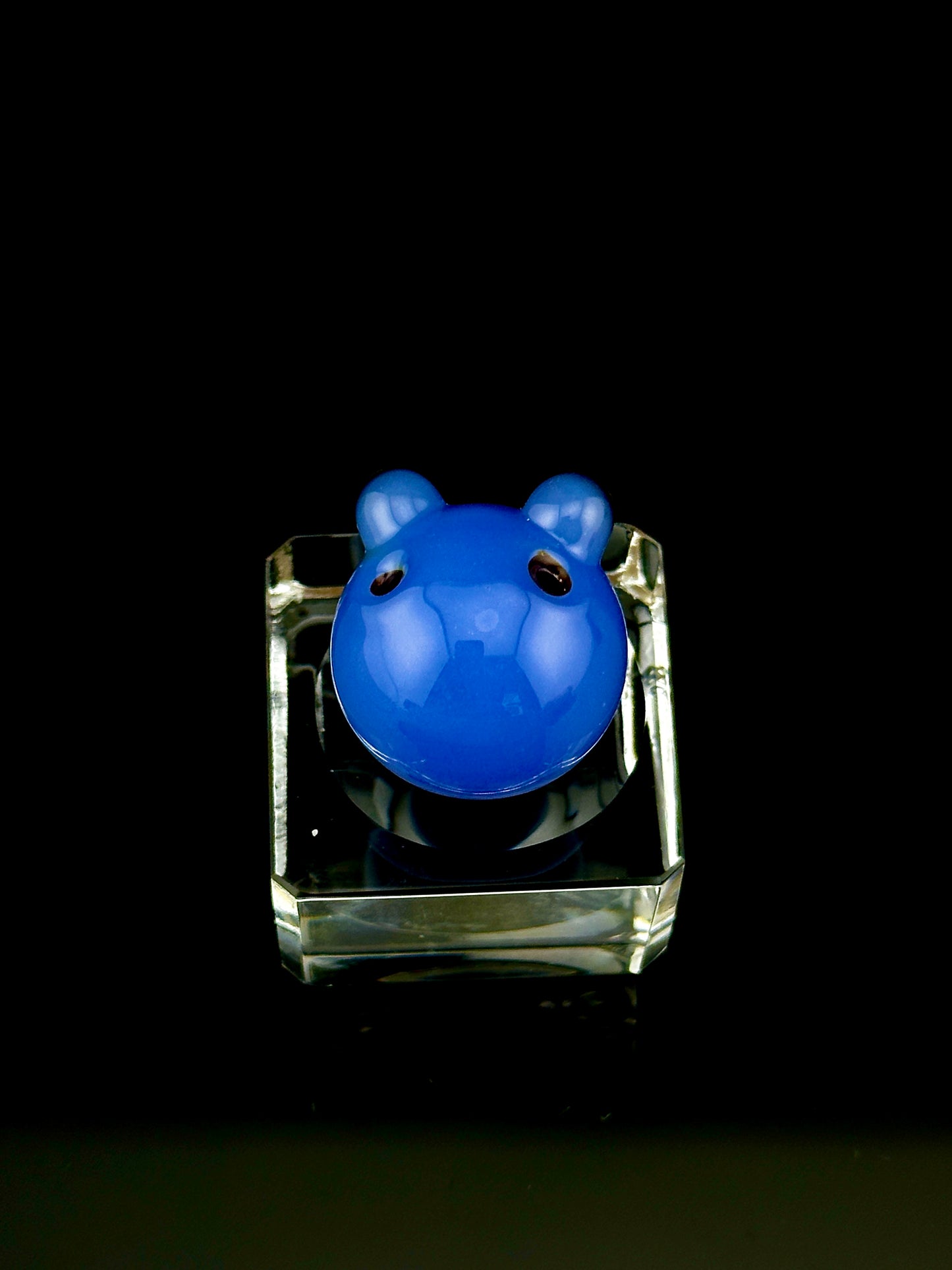 Aquarius chappy frog marble