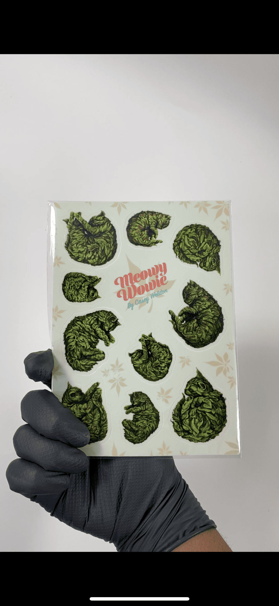artisan-crafted art piece - Meowie Wowie Sticker Sets by Casey Weldon
